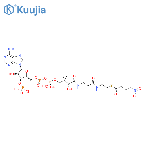 Coenzyme A, S-(4-nitrobutanoate) structure
