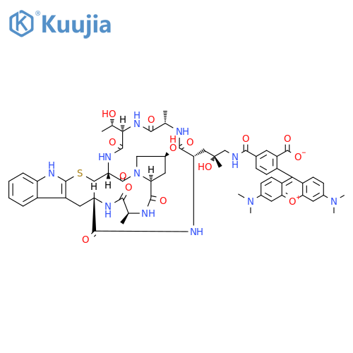 ((R)-4-Hydroxy-4-methyl-Orn(5-TAMRA))-Phalloidin structure