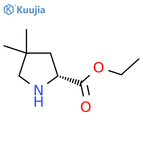 (R)-4,4-Dimethyl-pyrrolidine-2-carboxylic acid ethyl ester structure