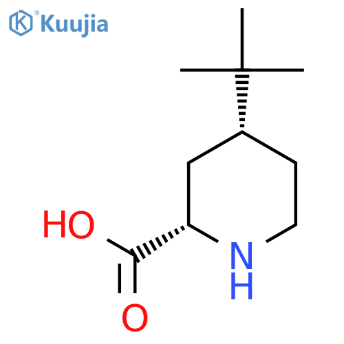 (2S,4R)-4-(tert-Butyl)piperidine-2-carboxylic acid structure