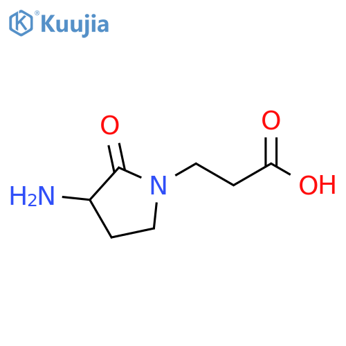 3-(3-amino-2-oxopyrrolidin-1-yl)propanoic acid structure