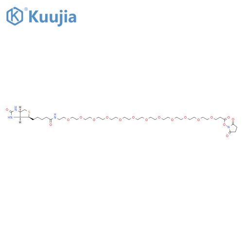 Biotin-PEG12-NHS ester structure