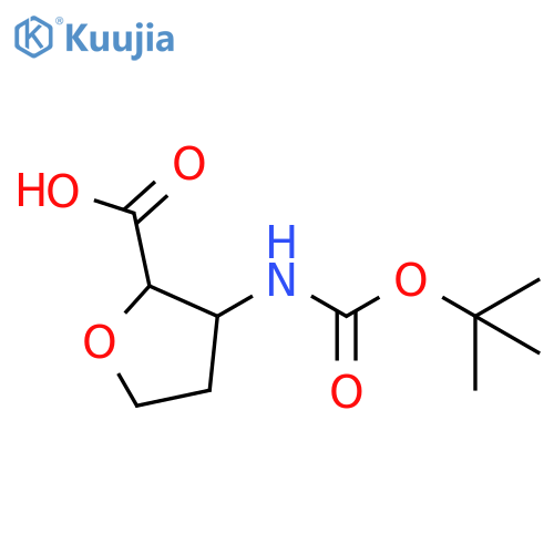 3-{(tert-butoxy)carbonylamino}oxolane-2-carboxylic acid structure