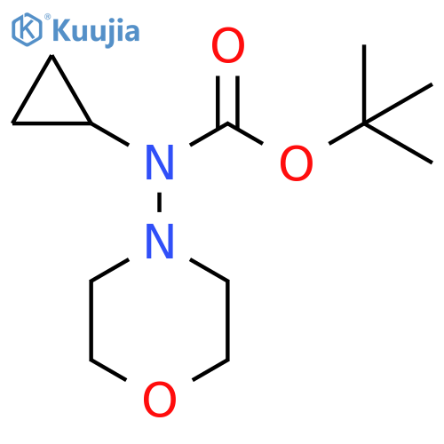 N-cyclopropyl-N-(morpholin-4-yl)(tert-butoxy)formamide structure