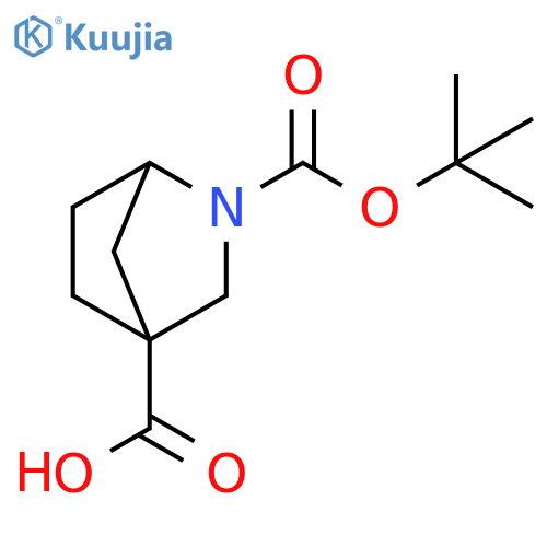 2-[(tert-butoxy)carbonyl]-2-azabicyclo[2.2.1]heptane-4-carboxylic acid structure