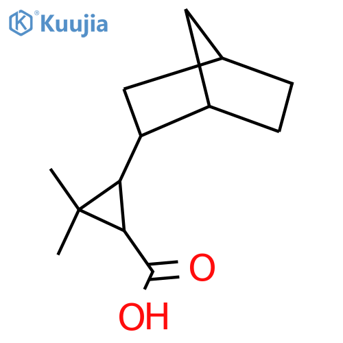 3-{bicyclo2.2.1heptan-2-yl}-2,2-dimethylcyclopropane-1-carboxylic acid structure