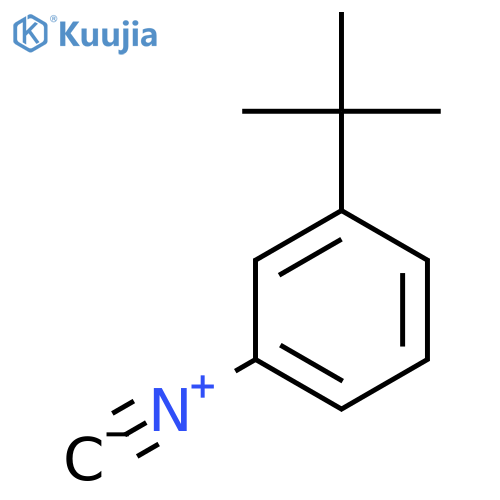 1-tert-butyl-3-isocyanobenzene structure