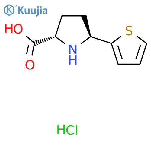 rac-(2R,5R)-5-(thiophen-2-yl)pyrrolidine-2-carboxylic acid hydrochloride, trans structure