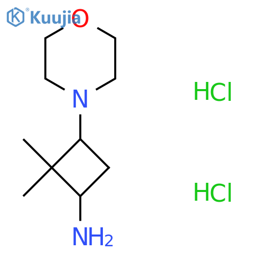 2,2-Dimethyl-3-(morpholin-4-yl)cyclobutan-1-amine dihydrochloride structure
