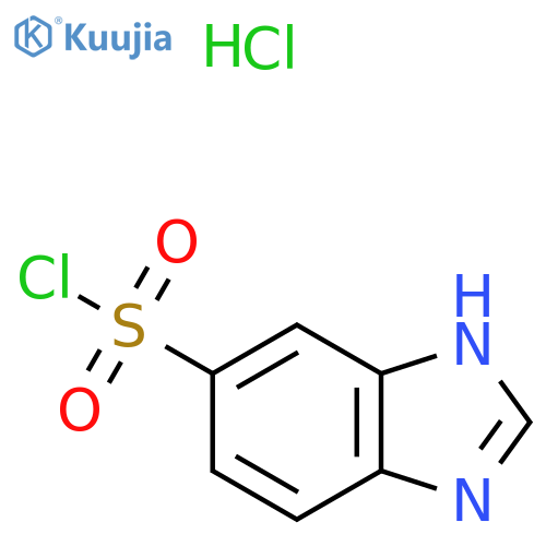 1H-1,3-benzodiazole-5-sulfonyl chloride hydrochloride structure