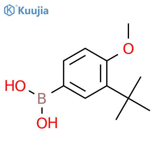 Boronic acid, [3-(1,1-dimethylethyl)-4-methoxyphenyl]- structure