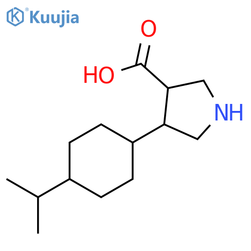 3-Pyrrolidinecarboxylic acid, 4-[4-(1-methylethyl)cyclohexyl]- structure