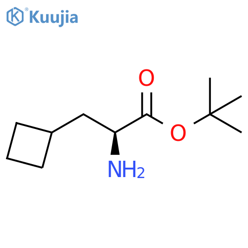 (S)-tert-Butyl 2-amino-3-cyclobutylpropanoate structure