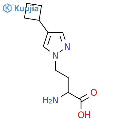 2-amino-4-(4-cyclobutyl-1H-pyrazol-1-yl)butanoic acid structure
