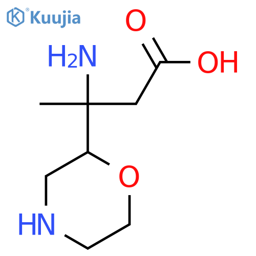 3-amino-3-(morpholin-2-yl)butanoic acid structure