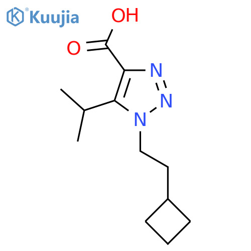 1-(2-cyclobutylethyl)-5-(propan-2-yl)-1H-1,2,3-triazole-4-carboxylic acid structure