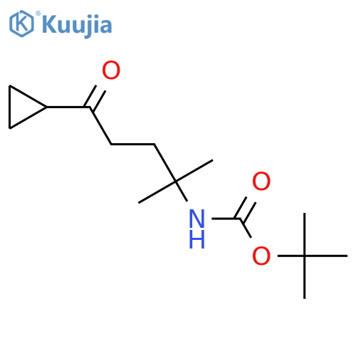 tert-butyl N-(5-cyclopropyl-2-methyl-5-oxopentan-2-yl)carbamate structure