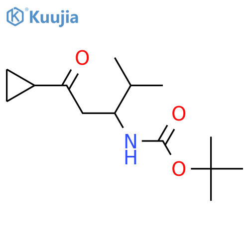tert-butyl N-(1-cyclopropyl-4-methyl-1-oxopentan-3-yl)carbamate structure