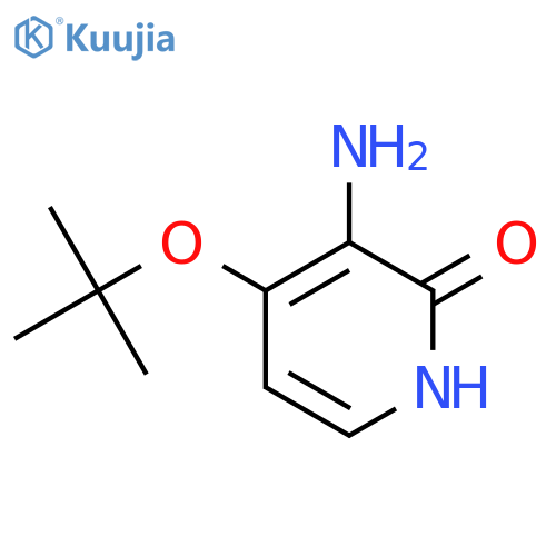 3-amino-4-(tert-butoxy)-1,2-dihydropyridin-2-one structure