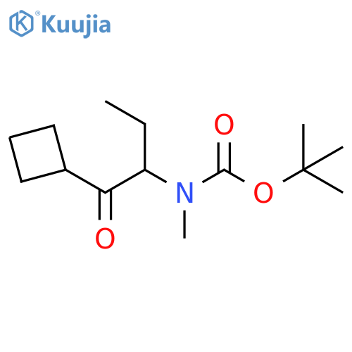 Carbamic acid, N-[1-(cyclobutylcarbonyl)propyl]-N-methyl-, 1,1-dimethylethyl ester structure