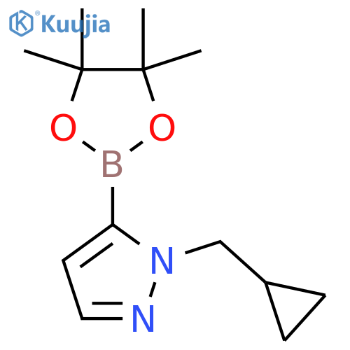 1-(cyclopropylmethyl)-5-(tetramethyl-1,3,2-dioxaborolan-2-yl)-1H-pyrazole structure