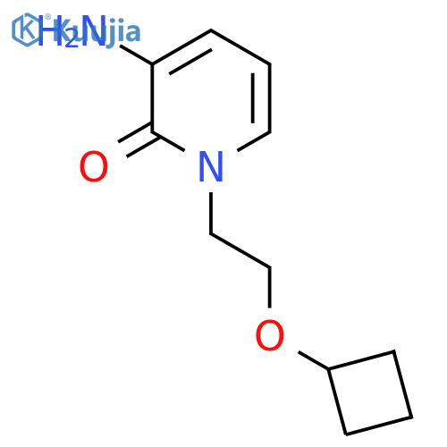 3-amino-1-(2-cyclobutoxyethyl)-1,2-dihydropyridin-2-one structure