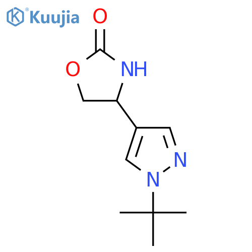 4-(1-tert-butyl-1H-pyrazol-4-yl)-1,3-oxazolidin-2-one structure