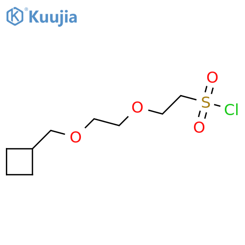 2-2-(cyclobutylmethoxy)ethoxyethane-1-sulfonyl chloride structure