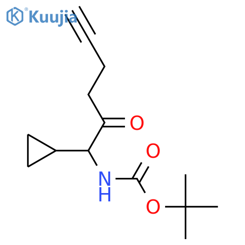 tert-butyl N-(1-cyclopropyl-2-oxohex-5-yn-1-yl)carbamate structure