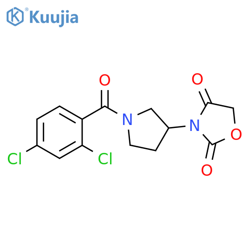3-[1-(2,4-dichlorobenzoyl)pyrrolidin-3-yl]-1,3-oxazolidine-2,4-dione structure