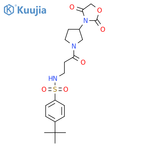 4-(tert-butyl)-N-(3-(3-(2,4-dioxooxazolidin-3-yl)pyrrolidin-1-yl)-3-oxopropyl)benzenesulfonamide structure