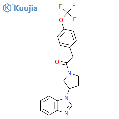1-[3-(1H-1,3-benzodiazol-1-yl)pyrrolidin-1-yl]-2-[4-(trifluoromethoxy)phenyl]ethan-1-one structure