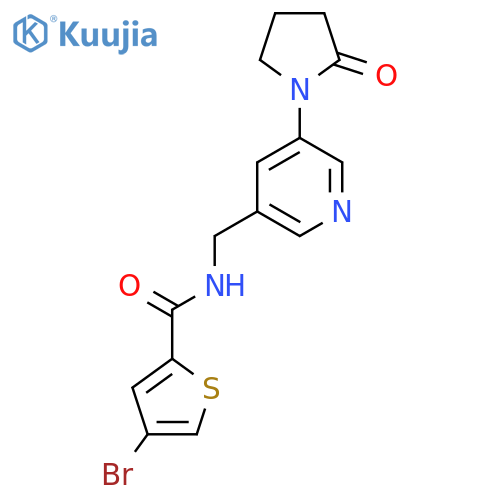 4-bromo-N-{[5-(2-oxopyrrolidin-1-yl)pyridin-3-yl]methyl}thiophene-2-carboxamide structure