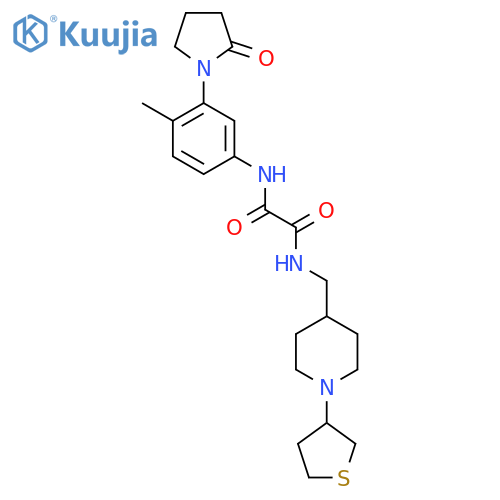 N-[4-methyl-3-(2-oxopyrrolidin-1-yl)phenyl]-N'-{[1-(thiolan-3-yl)piperidin-4-yl]methyl}ethanediamide structure