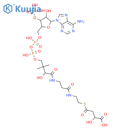 Coenzyme A, S-(1-hydrogen 2-hydroxybutanedioate) structure