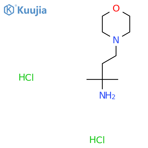 2-Methyl-4-(morpholin-4-yl)butan-2-amine dihydrochloride structure
