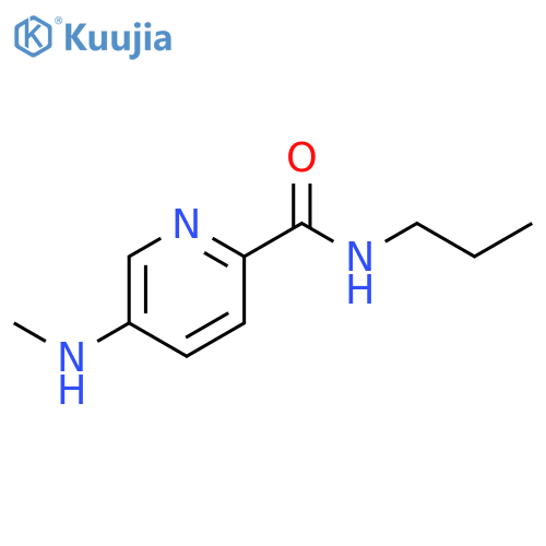 2-Pyridinecarboxamide,5-(methylamino)-N-propyl- structure