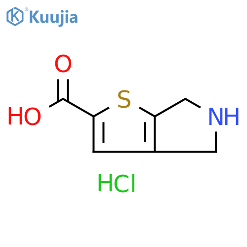 4H,5H,6H-thieno2,3-cpyrrole-2-carboxylic acid hydrochloride structure