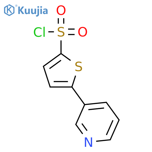 2-Thiophenesulfonyl chloride, 5-(3-pyridinyl)- structure