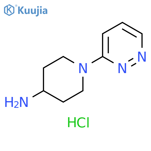 1-(3-pyridazinyl)-4-piperidinamine hydrochloride structure
