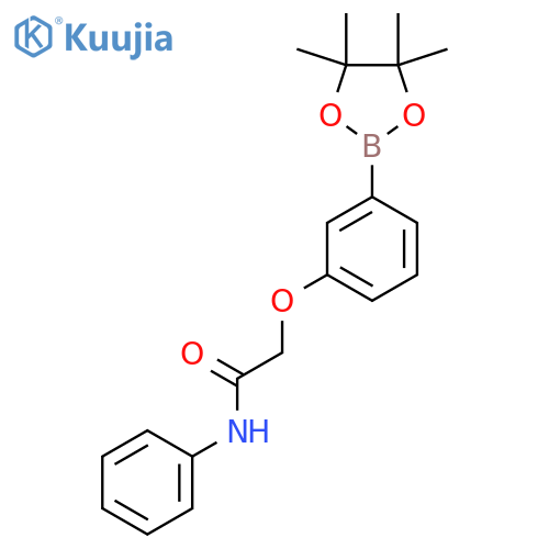 N-Phenyl-2-(3-(4,4,5,5-tetramethyl-1,3,2-dioxaborolan-2-yl)phenoxy)acetamide structure