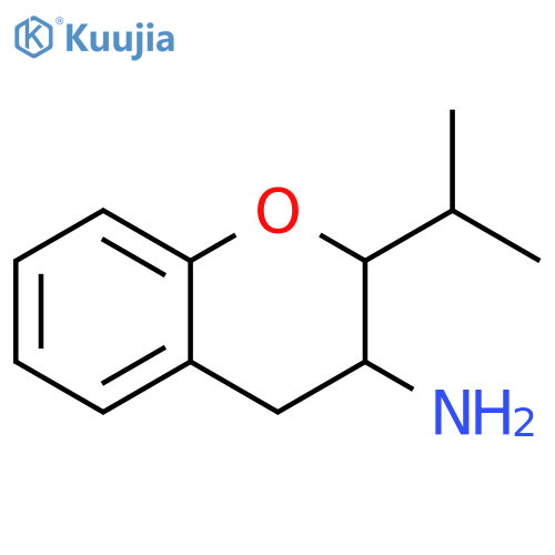 2-(propan-2-yl)-3,4-dihydro-2H-1-benzopyran-3-amine structure