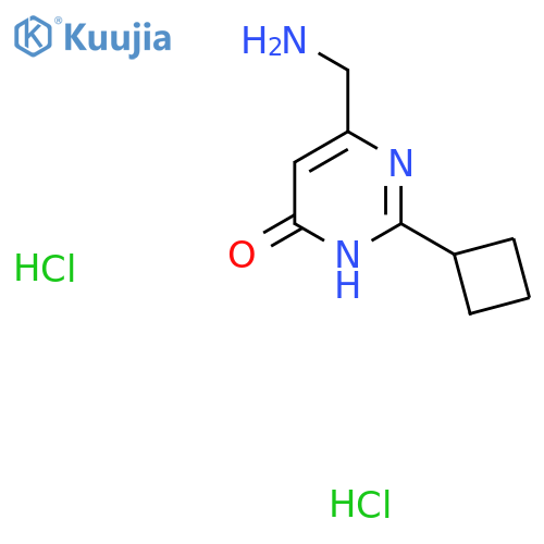 6-(Aminomethyl)-2-cyclobutyl-3,4-dihydropyrimidin-4-one dihydrochloride structure