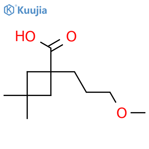 1-(3-Methoxypropyl)-3,3-dimethylcyclobutane-1-carboxylic acid structure