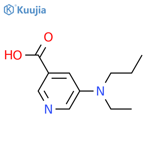 5-ethyl(propyl)aminopyridine-3-carboxylic acid structure