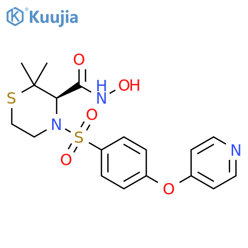 3-Thiomorpholinecarboxamide, N-hydroxy-2,2-dimethyl-4-[[4-(4-pyridinyloxy)phenyl]sulfonyl]-, (3R)- structure