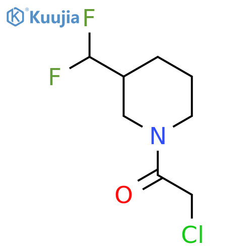 2-Chloro-1-(3-(difluoromethyl)piperidin-1-yl)ethan-1-one structure