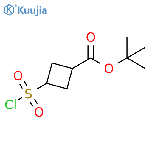 Cyclobutanecarboxylic acid, 3-(chlorosulfonyl)-, 1,1-dimethylethyl ester structure
