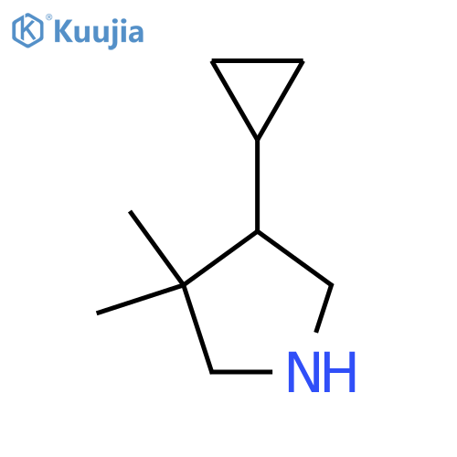 4-Cyclopropyl-3,3-dimethylpyrrolidine structure
