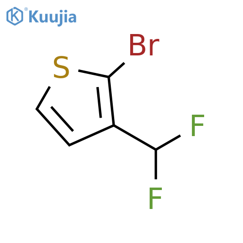 2-Bromo-3-(difluoromethyl)thiophene structure